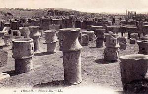 Timgad 087